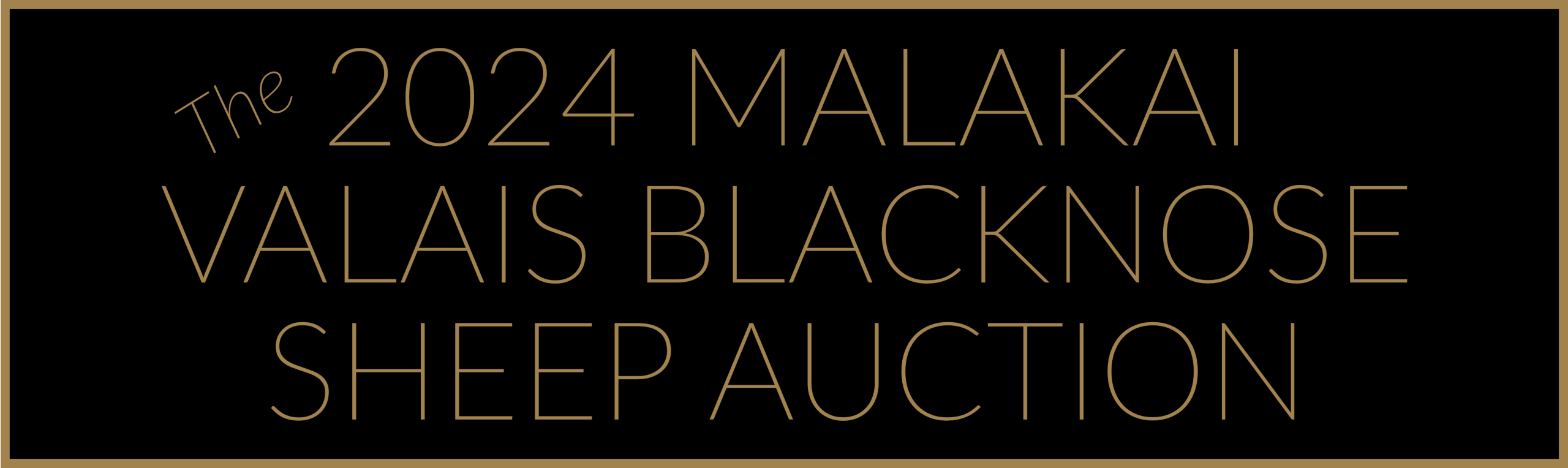 The 2024 Malakai Valais Blacknose Sheep Auction